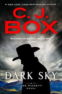 Dark Sky (A Joe Pickett Novel Book 21)